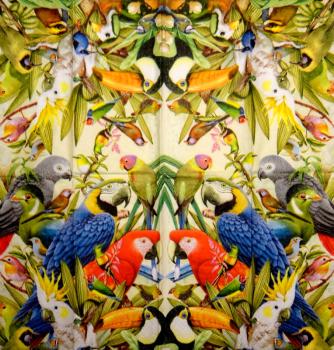 015 Parrot - 3-ply - Paper Design